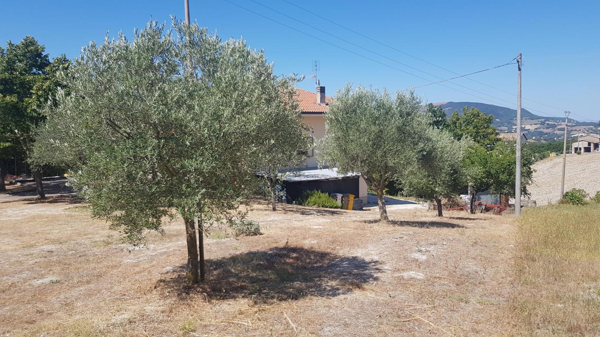 Villa Due Tigli Arcevia Extérieur photo